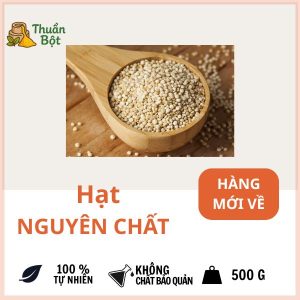 Hạt Nguyên Chất ThuanBot