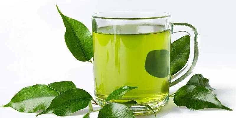 trà sâm dứa có tác dụng gì